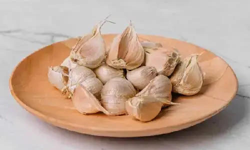 Bawang Putih Kating