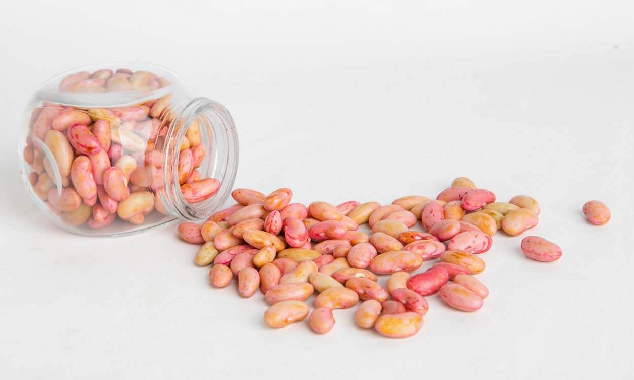 Kacang Merah Organik