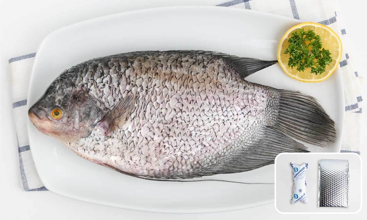 Ikan Gurame Utuh Bersih